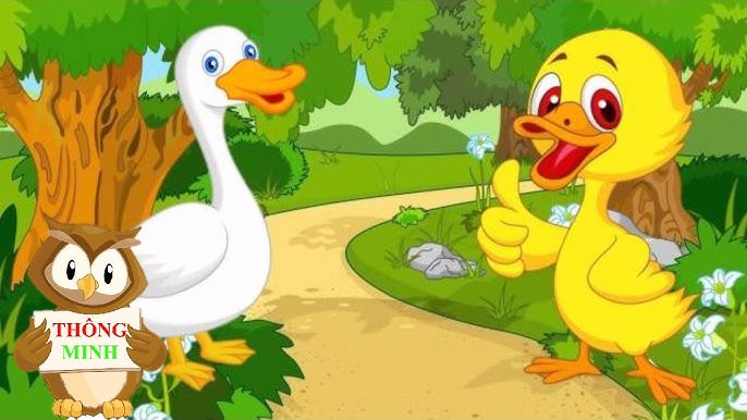 Bài học rút ra từ câu chuyện